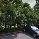 DOLEJŠOVÁ KATEŘINA