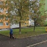 DUŠÁNEK VLADIMÍR Ing. MBA