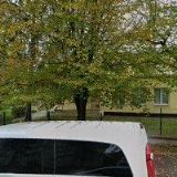 TJ ZDRAVOTNĚ POSTIŽENÝCH NOLA Teplice