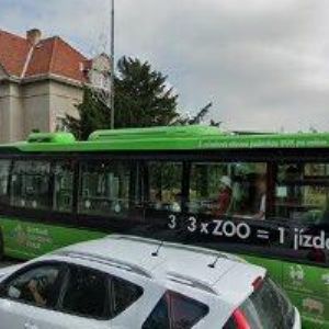 obrazek: avatar STŘÍTEZSKÁ JAROSLAVA MUDr.