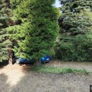 obrazek: avatar ČESKÁ KONFERENCE