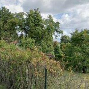 obrazek: avatar MASÁŽE NA VÝSLUNÍ