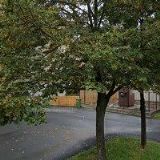 DEEN SOLUTIONS s.r.o.