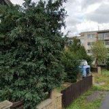 BRÄUER JIŘÍ-AK UNIPROJECT