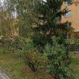 BLUMENTRITOVÁ LUDMILA MUDr.