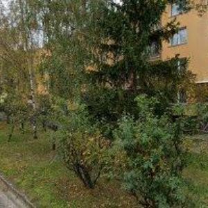 obrazek: avatar BLUMENTRITOVÁ LUDMILA MUDr.