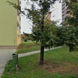 obrazek: avatar VOJTÍŠKOVÁ JAROSLAVA MUDr.