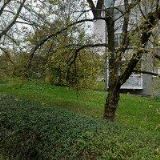 ADÉLA VODRÁŽKOVÁ