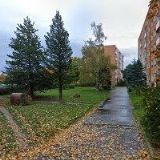 BC. KRISTÝNA HÁJKOVÁ