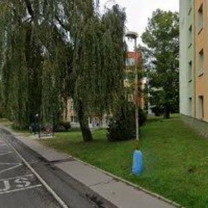 obrazek: avatar DANUŠE DIDYKOVÁ