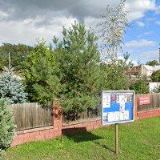 ING. MONIKA MAREŠOVÁ