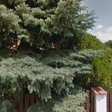 MGR. ROBERT KREJČÍ