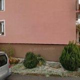 NADĚŽDA ŠTĚRBOVÁ, DIS.