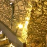 BRIGITA DVOŘÁKOVÁ