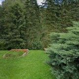 ING. PETRA ČERNECKÁ