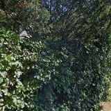 JANA HOLEČKOVÁ MLÁDKOVÁ