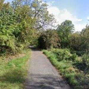 obrazek: avatar MERIDUS