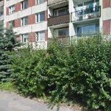 MGR. MICHAELA BELENIOVÁ