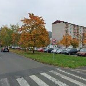 obrazek: avatar MUDR. IVA FIŠEROVÁ