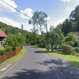 CARMEN VIOLA NÄTEBUSCH