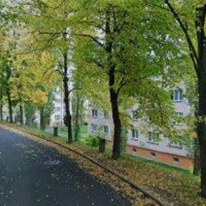 obrazek: avatar FRANTIŠEK FILIP