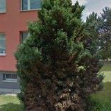 SPOLEČENSTVÍ VLASTNÍKŮ U PRAMENU 2488 V LOUNECH