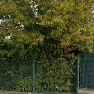 obrazek: avatar VENUŠE ELGROVÁ