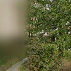 obrazek: avatar VLADISLAV KAJZR