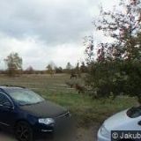 ALEXANDRA ZAJÍCOVÁ