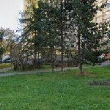 BARBORA KAPLANOVÁ TUČKOVÁ