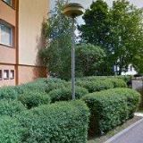 MÁRIA RYCHTAŘÍKOVÁ