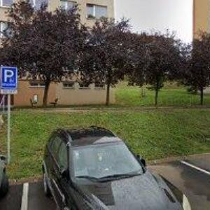 obrazek: avatar PETR VLÁŠEK
