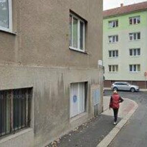 obrazek: avatar SPOLEK PŘÁTEL SAMOROSTU