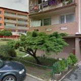 BC. KVĚTA KUŘEOVÁ