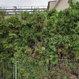 KAMILA KRČMÁŘOVÁ