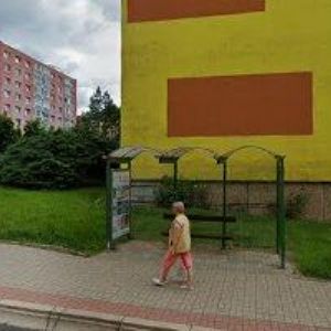 obrazek: avatar PAVEL FOUKAL