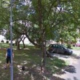 TRANDAFIR KLEMPÍŘSKÉ PRÁCE