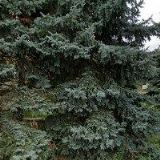 BYTOVÉ DRUŽSTVO ALFA ÚSTÍ NAD LABEM