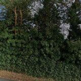 ING. KATEŘINA ANTOŠOVÁ