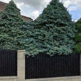 MGR. ROSTISLAV ŠKOP