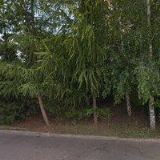 MILUŠE VACHOUŠKOVÁ