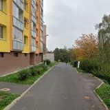 VIKTORIA PETRASHENKO