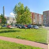 ZUZANA SCHLEIFEROVÁ