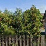 MARKÉTA MOUDŘÍKOVÁ