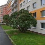 MILUŠKA KOPÁČOVÁ