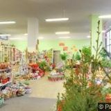 NURSEN GÜLAY ÖZAYTÜRK