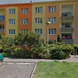 obrazek: avatar PETRA ŠOLCOVÁ, DIS.