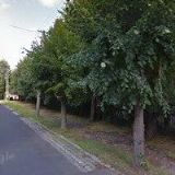 EXPORT, IMPORT & BARTER