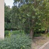 KATEŘINA OMANÍKOVÁ