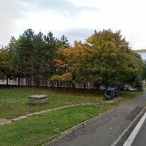 obrazek: avatar MARTIN KOČÁREK